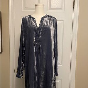 Anthropologie Silver Velvet Tunic
